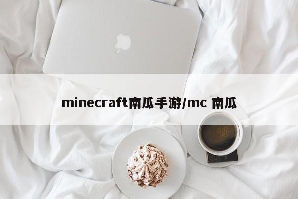 minecraft南瓜手游/mc 南瓜
