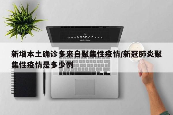 新增本土确诊多来自聚集性疫情/新冠肺炎聚集性疫情是多少例