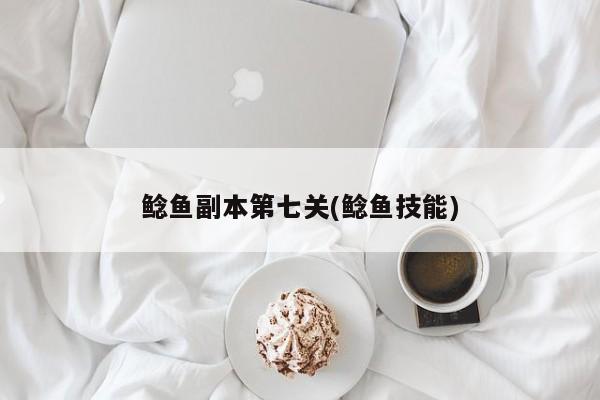 鲶鱼副本第七关(鲶鱼技能)