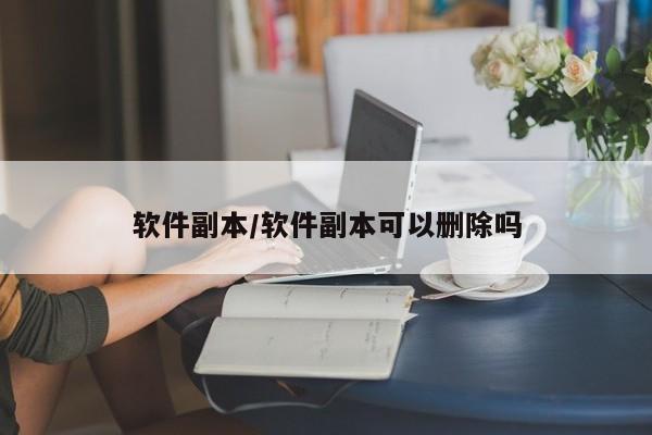 软件副本/软件副本可以删除吗