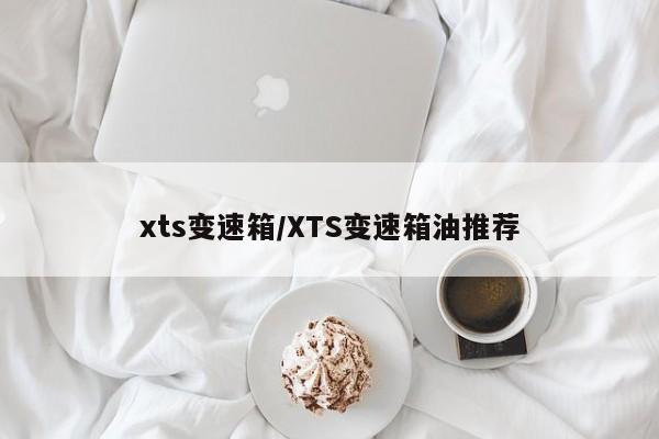 xts变速箱/XTS变速箱油推荐