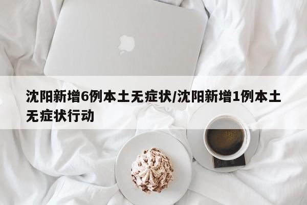 沈阳新增6例本土无症状/沈阳新增1例本土无症状行动