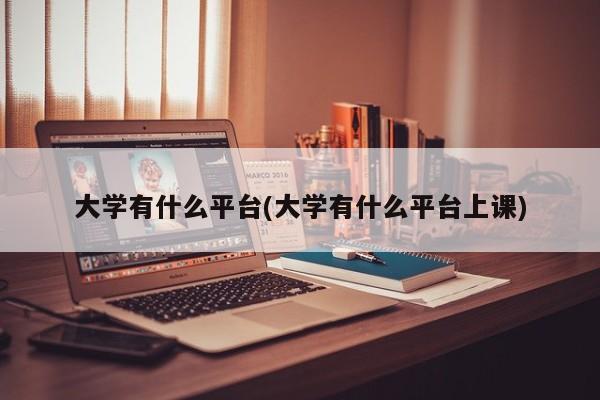 大学有什么平台(大学有什么平台上课)
