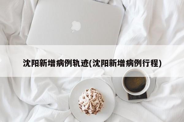 沈阳新增病例轨迹(沈阳新增病例行程)