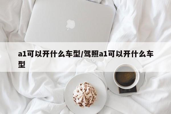 a1可以开什么车型/驾照a1可以开什么车型