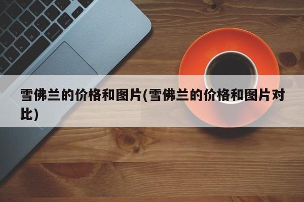 雪佛兰的价格和图片(雪佛兰的价格和图片对比)