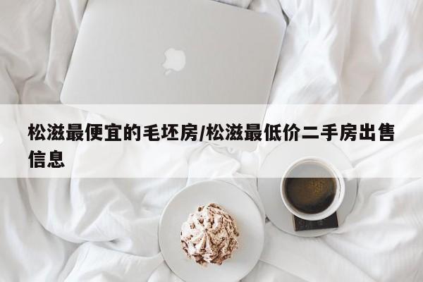 松滋最便宜的毛坯房/松滋最低价二手房出售信息