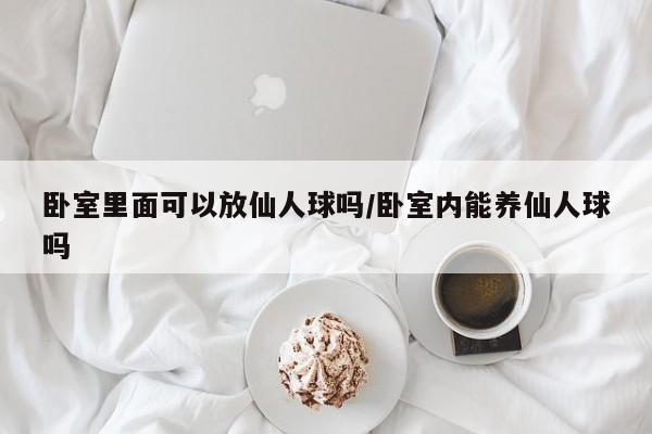 卧室里面可以放仙人球吗/卧室内能养仙人球吗