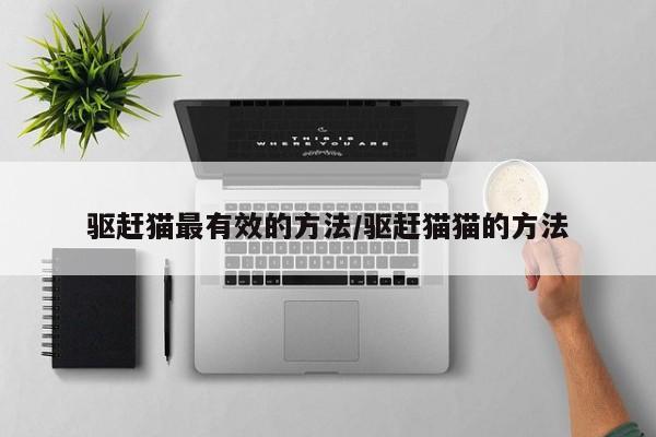 驱赶猫最有效的方法/驱赶猫猫的方法