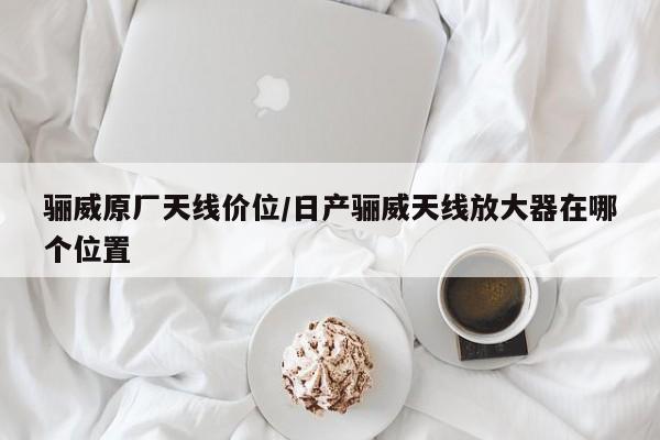 骊威原厂天线价位/日产骊威天线放大器在哪个位置