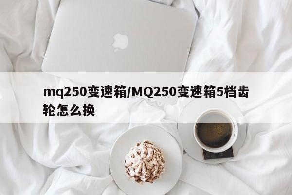 mq250变速箱/MQ250变速箱5档齿轮怎么换