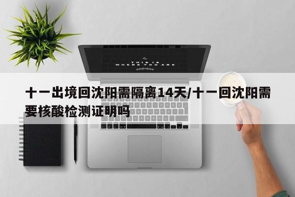 十一出境回沈阳需隔离14天/十一回沈阳需要核酸检测证明吗