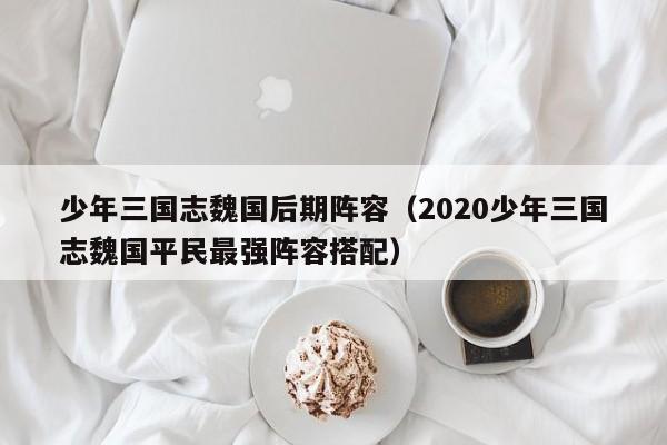少年三国志魏国后期阵容（2020少年三国志魏国平民最强阵容搭配）