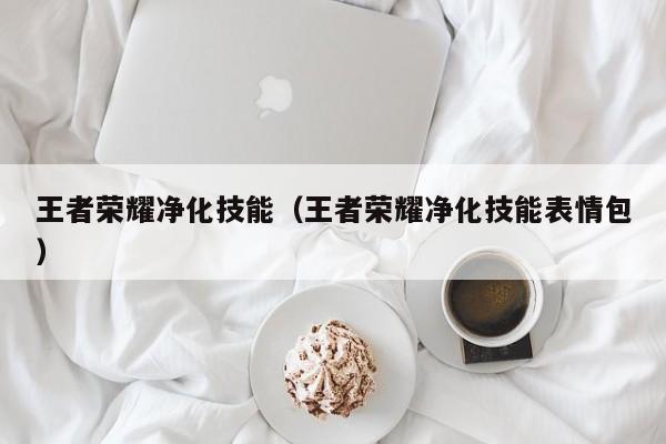 王者荣耀净化技能（王者荣耀净化技能表情包）