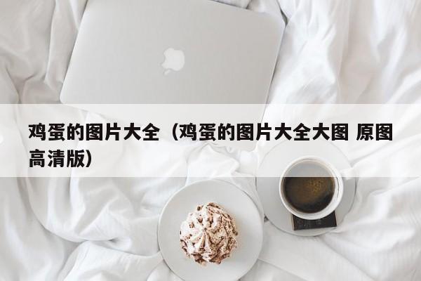 鸡蛋的图片大全（鸡蛋的图片大全大图 原图高清版）