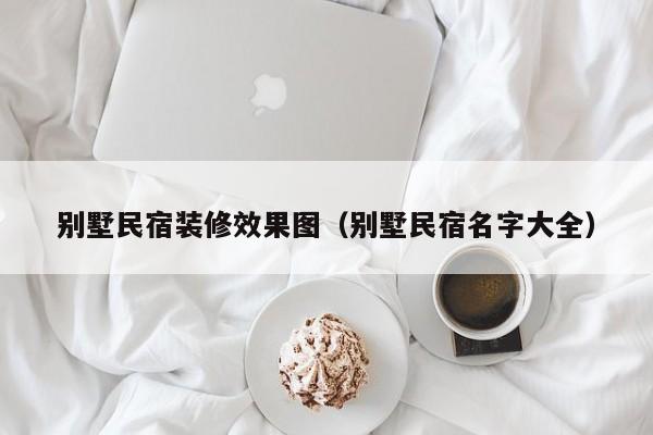 别墅民宿装修效果图（别墅民宿名字大全）