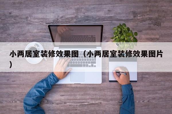 小两居室装修效果图（小两居室装修效果图片）