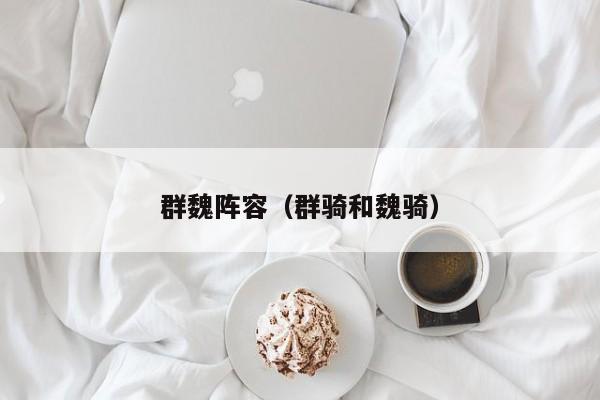 群魏阵容（群骑和魏骑）