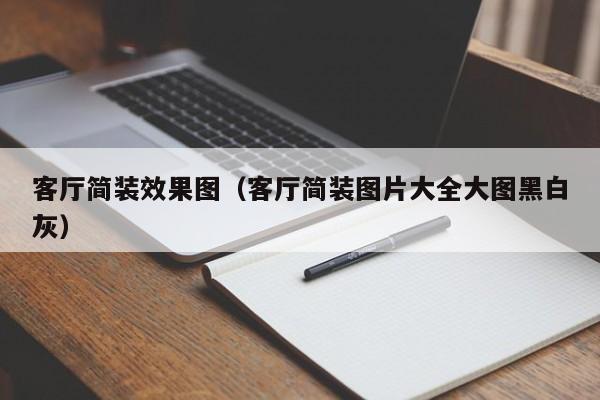 客厅简装效果图（客厅简装图片大全大图黑白灰）