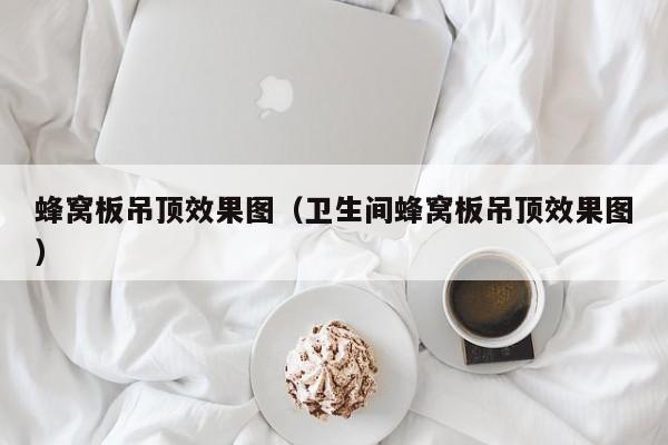 蜂窝板吊顶效果图（卫生间蜂窝板吊顶效果图）