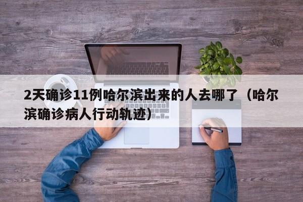 2天确诊11例哈尔滨出来的人去哪了（哈尔滨确诊病人行动轨迹）