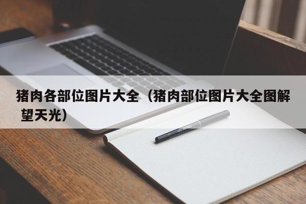 猪肉各部位图片大全（猪肉部位图片大全图解 望天光）