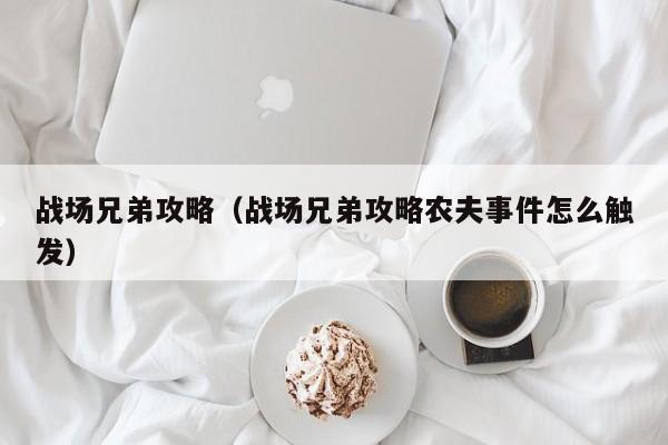 战场兄弟攻略（战场兄弟攻略农夫事件怎么触发）