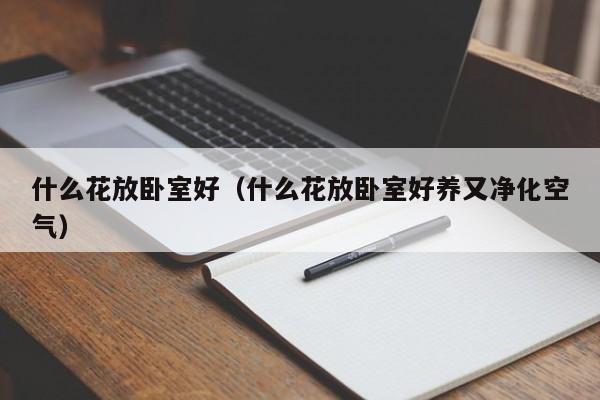 什么花放卧室好（什么花放卧室好养又净化空气）